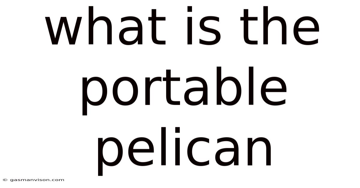 What Is The Portable Pelican