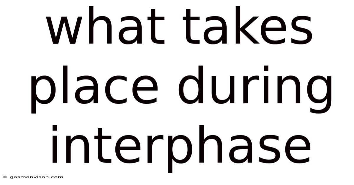 What Takes Place During Interphase
