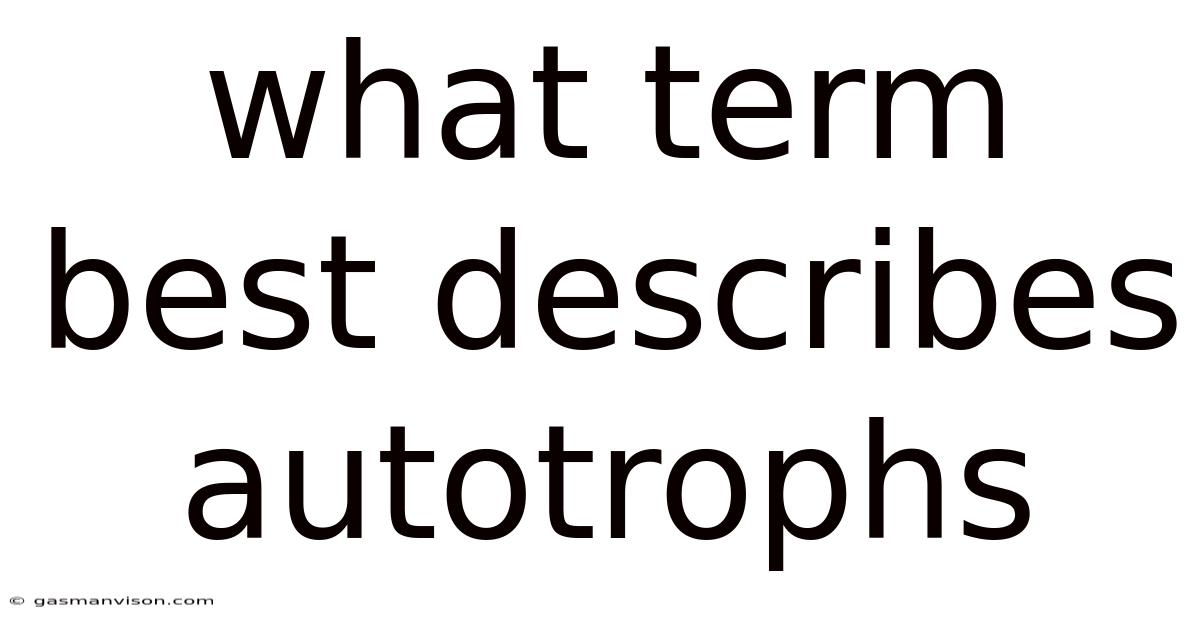 What Term Best Describes Autotrophs