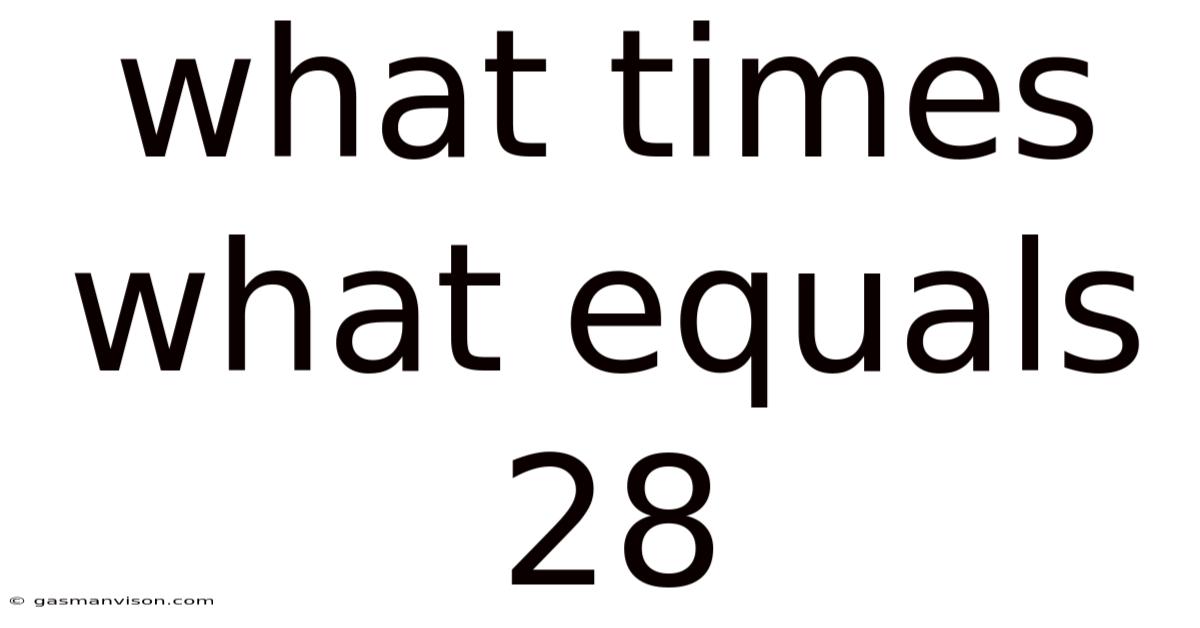 what-times-what-equals-28