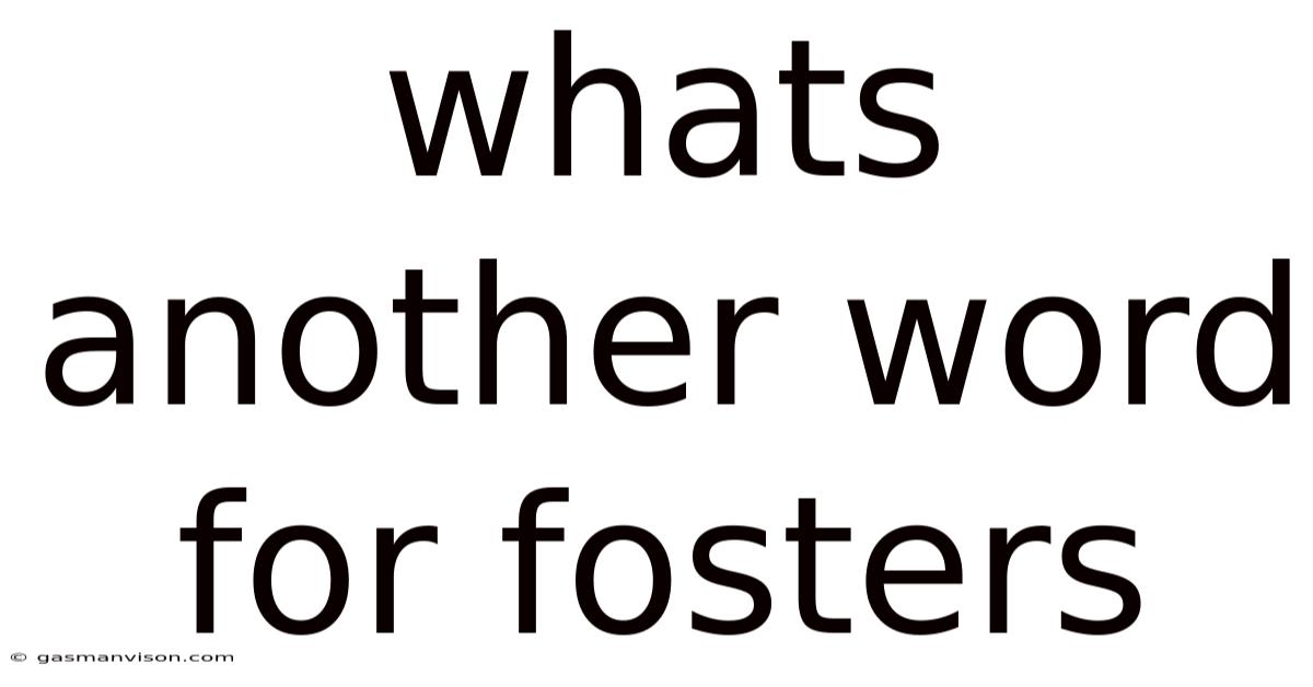 Whats Another Word For Fosters