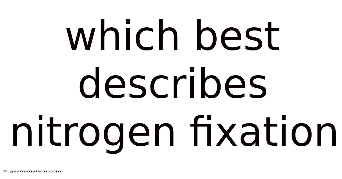 Which Best Describes Nitrogen Fixation