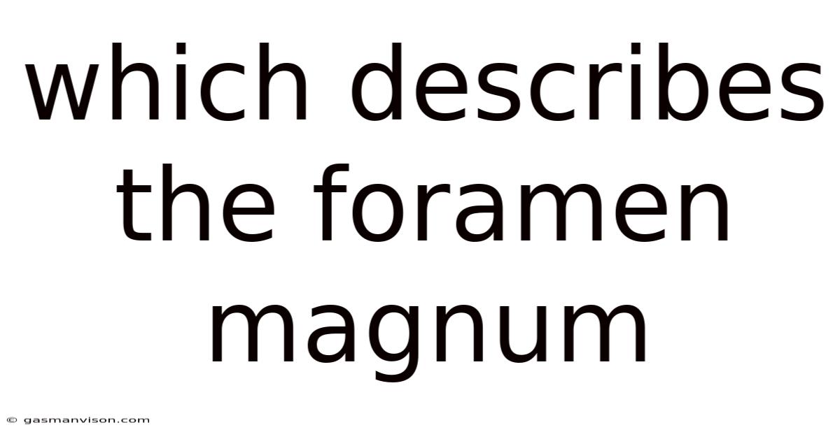 Which Describes The Foramen Magnum