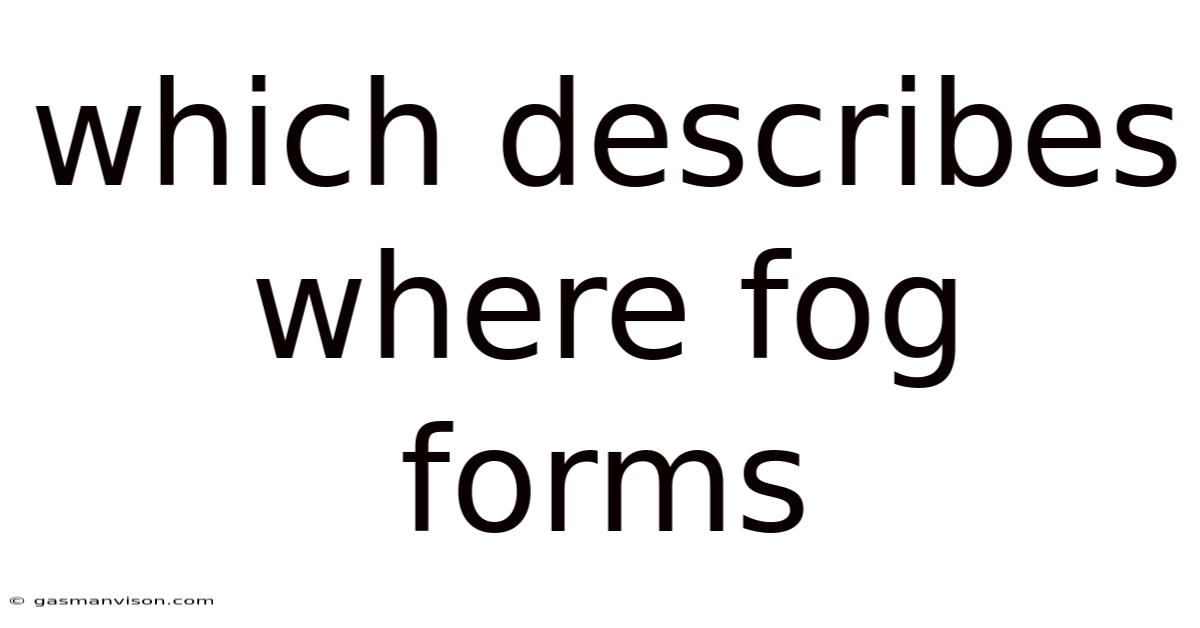 Which Describes Where Fog Forms