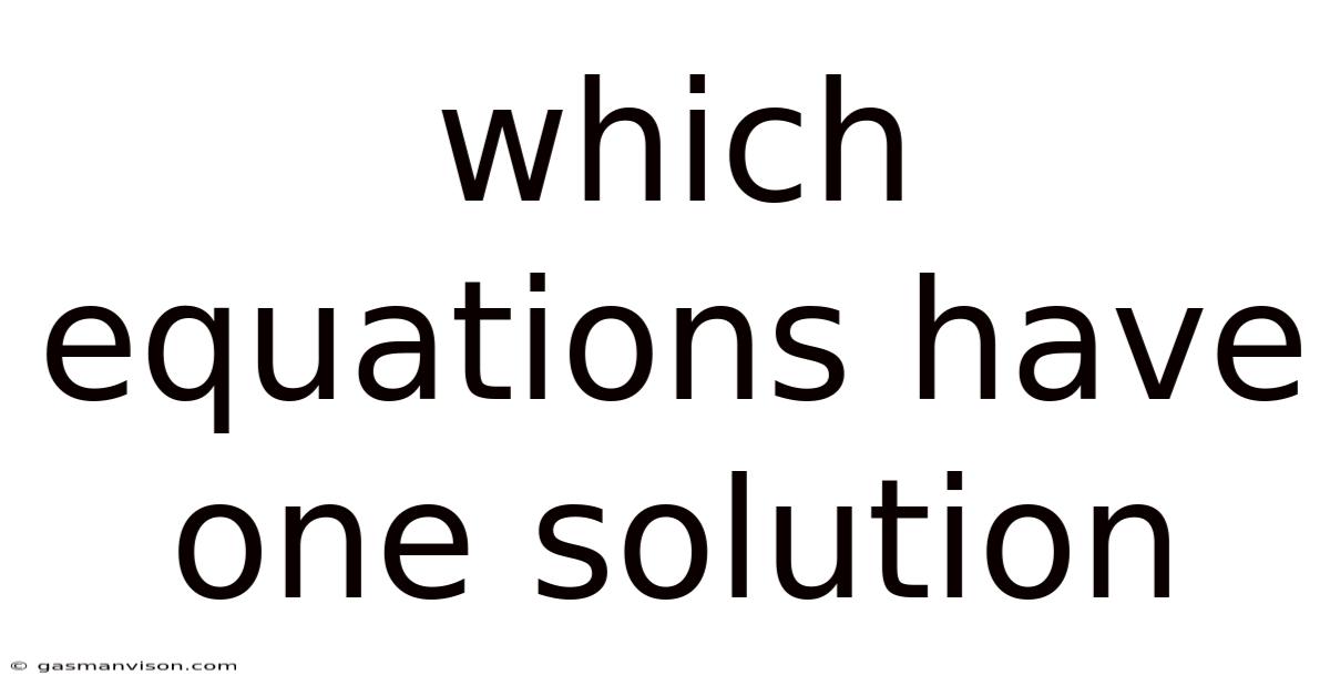 Which Equations Have One Solution