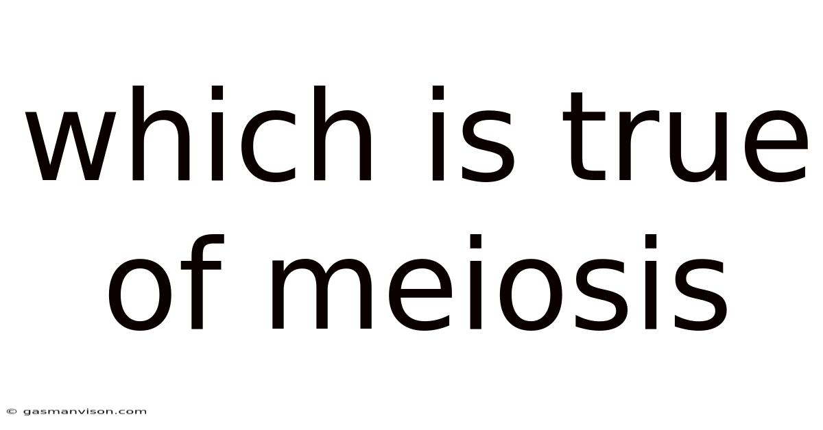 Which Is True Of Meiosis