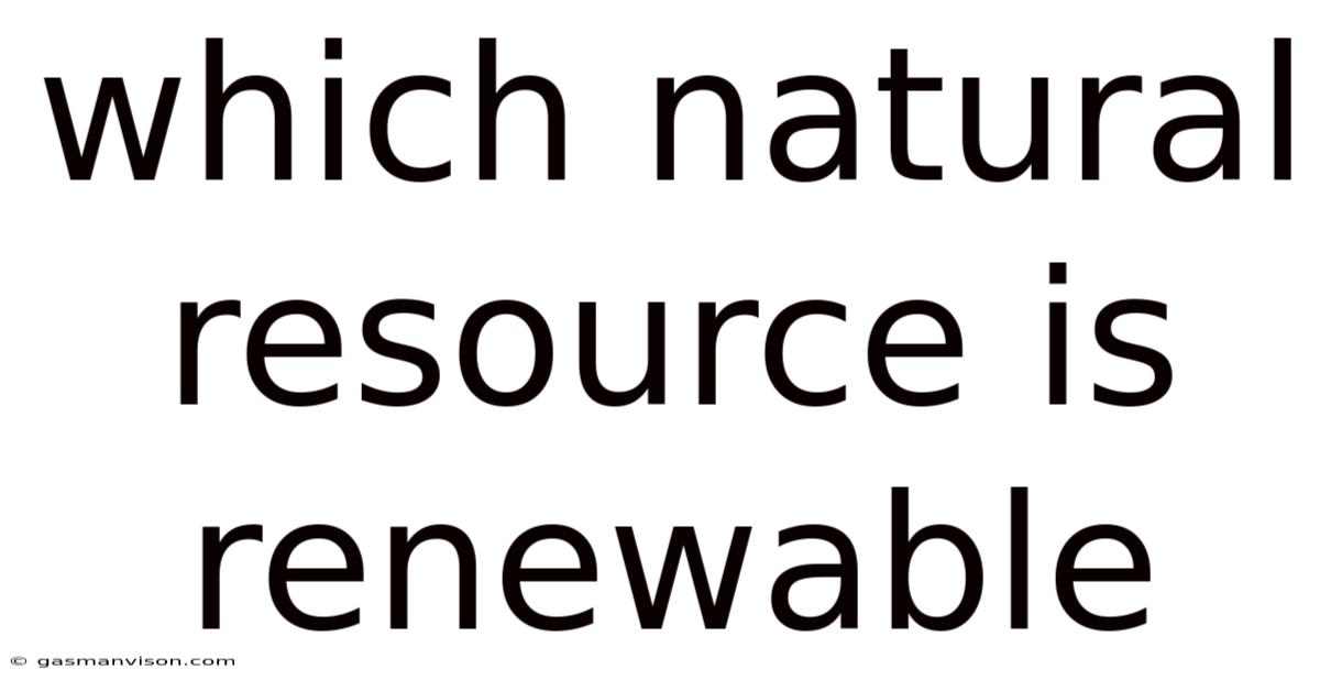 Which Natural Resource Is Renewable