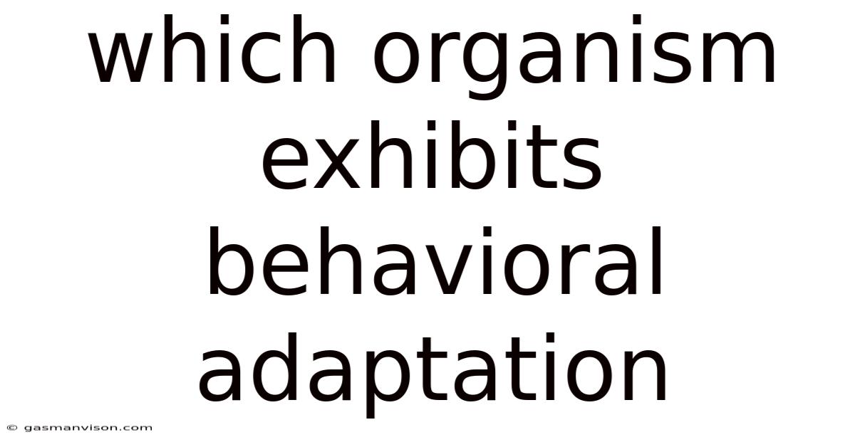 Which Organism Exhibits Behavioral Adaptation