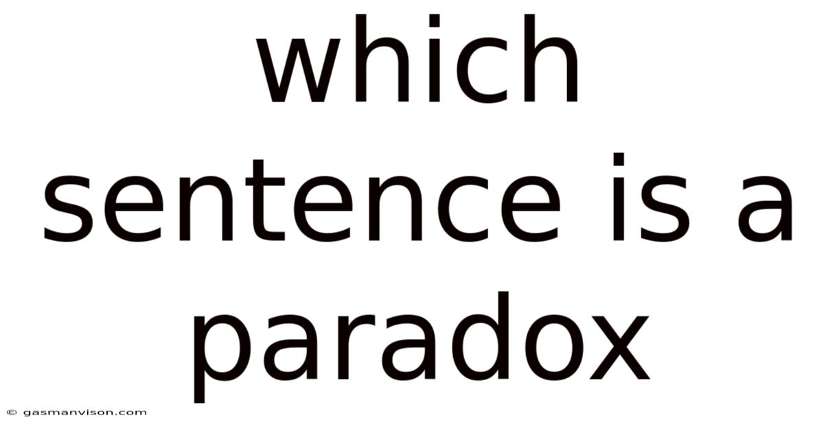 Which Sentence Is A Paradox