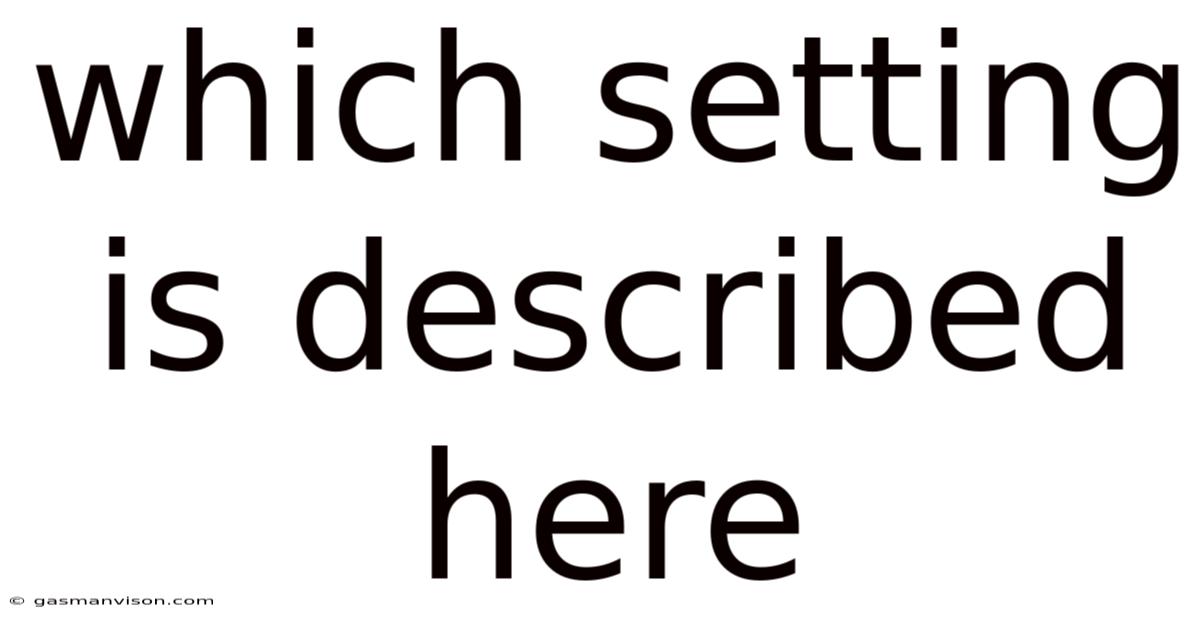 Which Setting Is Described Here