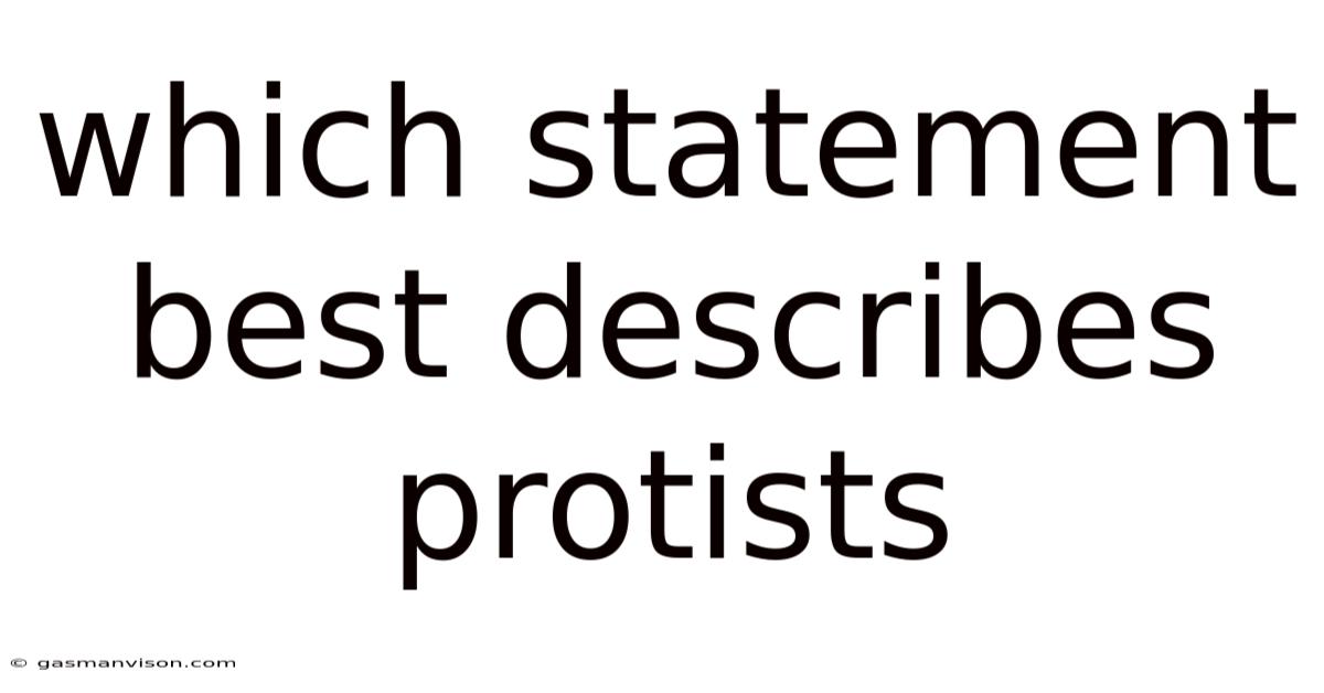 Which Statement Best Describes Protists