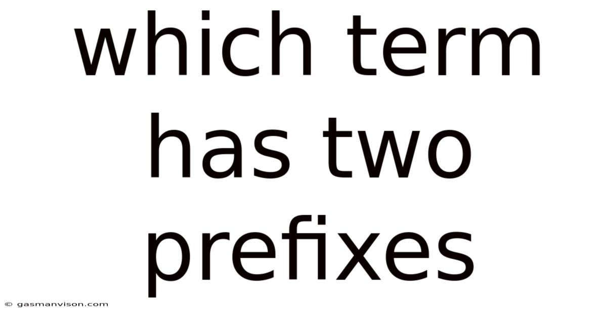 Which Term Has Two Prefixes