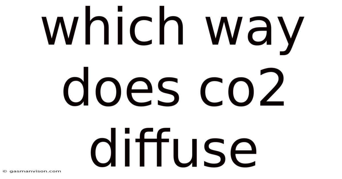 Which Way Does Co2 Diffuse