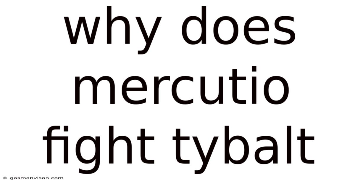 Why Does Mercutio Fight Tybalt