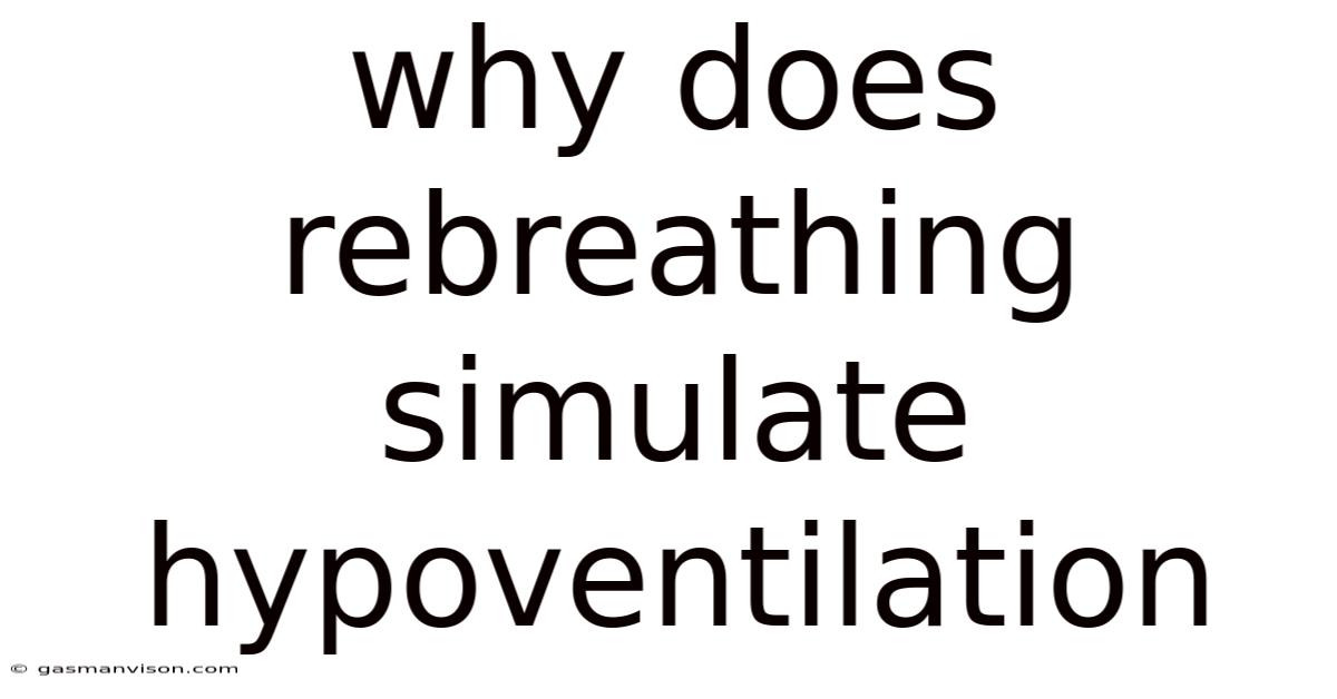 Why Does Rebreathing Simulate Hypoventilation