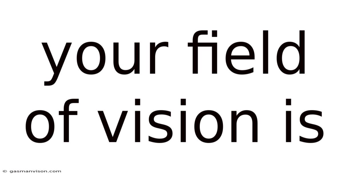 Your Field Of Vision Is
